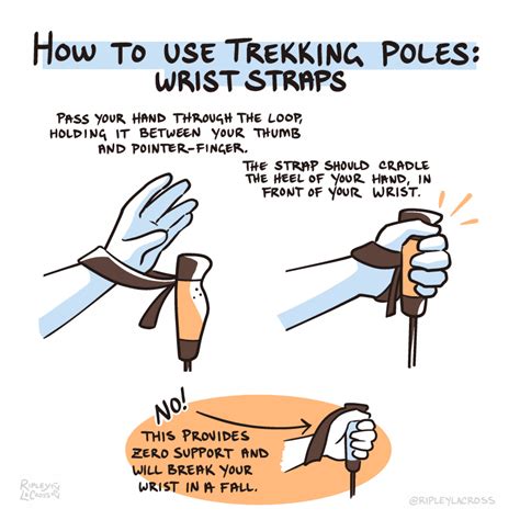 How to Use Trekking Poles - Ripley LaCross