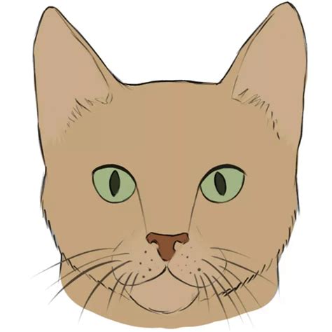 How to Draw a Cat Face - Easy Drawing Art