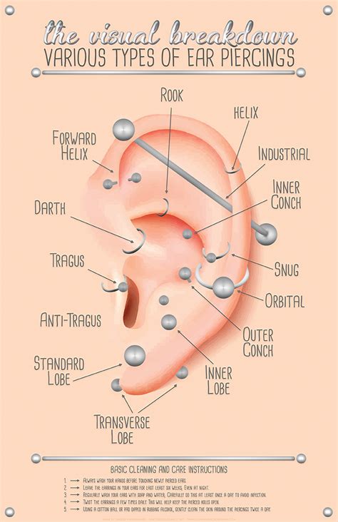 Ear Piercing Chart | Ear piercings rook, Ear piercings chart, Cool ear ...