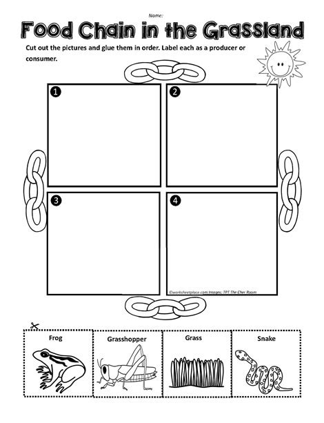 A Grassland Food Chain Worksheets