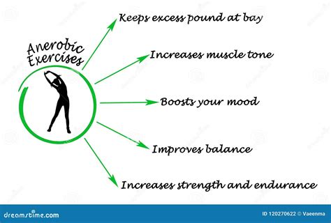 Benefits of Anaerobic Exercise Stock Illustration - Illustration of ...