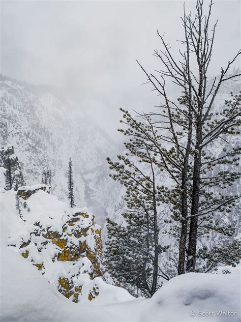 Grand Canyon of the Yellowstone River, Snowstorm - Scott Walton Photographs