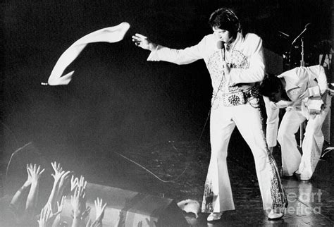 Elvis Presley In Concert by Bettmann