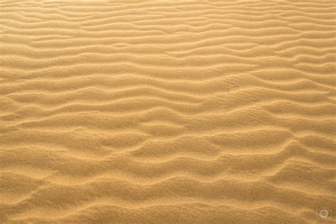 Free photo: Desert sand texture - Abstract, Ripples, Wavy - Free ...