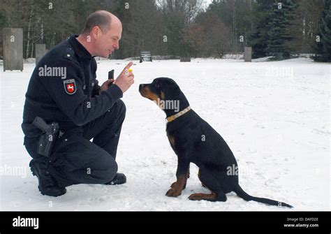 Hartmut Deutsch, training director of police dog handler squad and his ...