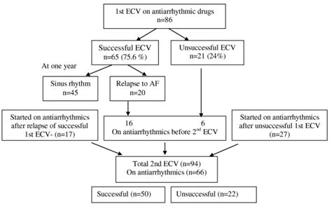 Results of serial electrical cardioversion in atrial fibrillation in ...