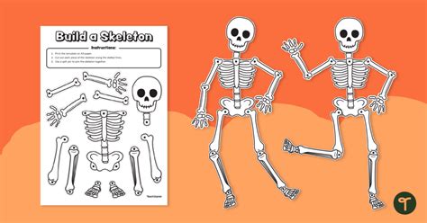 Build a Skeleton Template | Teach Starter