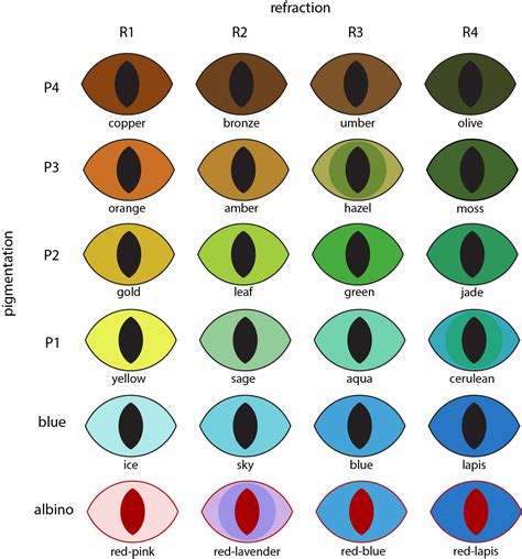 8 best eye color chart genetics images in 2020 eye color chart eye ...