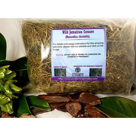 Wild Jamaican Cerasee 4OZ Parasitic Worms, Stomach Ulcers, Conceiving ...