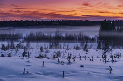 Lapland Sweden: Sweden’s Winter Paradise – The Five Foot Traveler