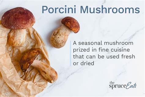 What Are Porcini Mushrooms?