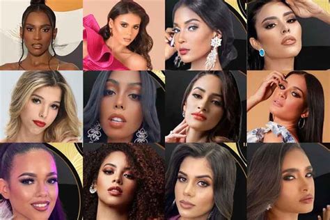 The contestants of Miss Dominican Republic 2021 are Scarlett Castillo ...