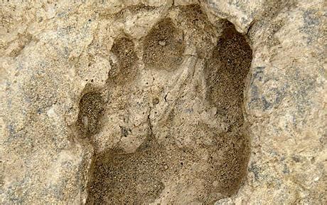 Fascinating sites of prehistoric human footprints in East Africa you ...