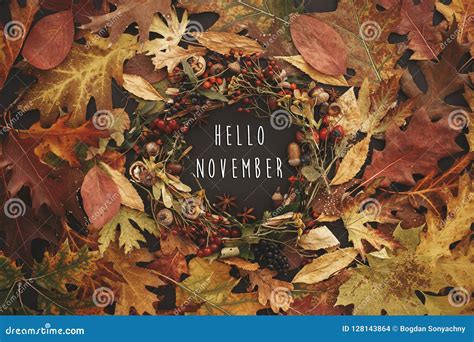 Hello November Text on Autumn Wreath Flat Lay. Fall Leaves Circle with ...