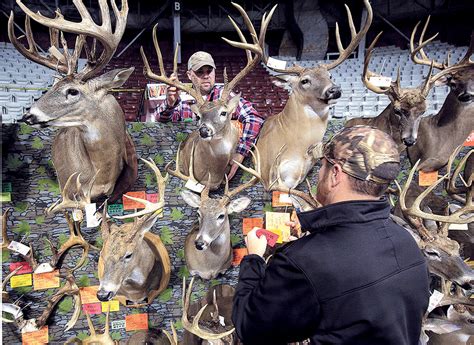 Worlds Fattest Deer