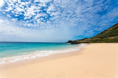 Best Beaches on Oahu | Oahu beaches, Beaches in the world, Turtle bay ...