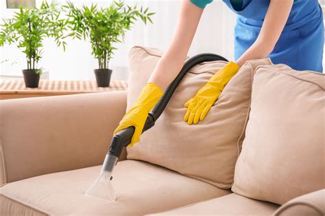 How to Clean Suede Couch - Kitchen Infinity