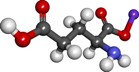 1.14 know what is meant by the terms atom and molecule