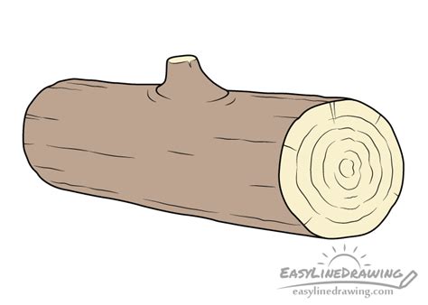 How to Draw a Log Step by Step - EasyLineDrawing