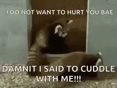 Cuddle Me GIF - Cuddle Me With - Discover & Share GIFs