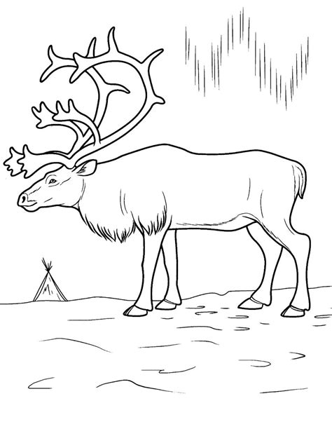 Polar Animals Coloring Pages at GetDrawings | Free download