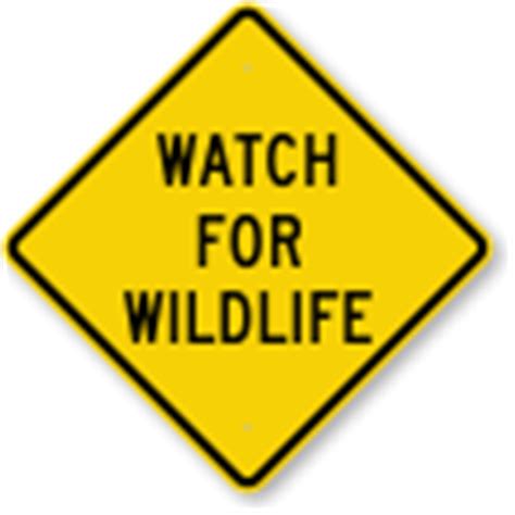 Wildlife Signs