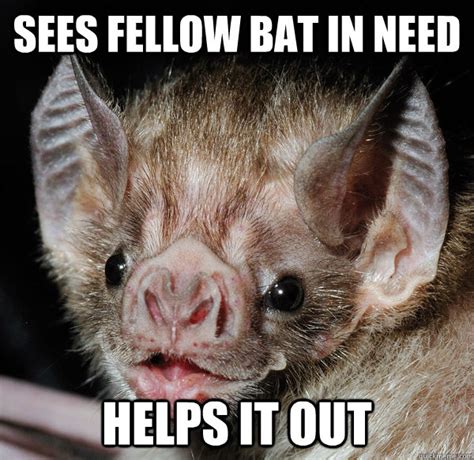 Good Guy Bat memes | quickmeme