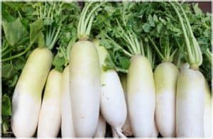 White Radish Leaves – Nutrition Facts, Benefits, Side Effects