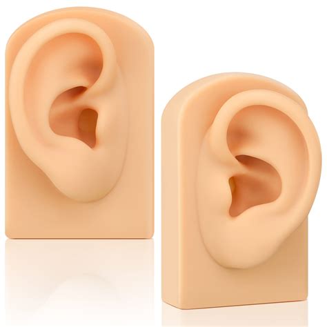 Buy 2 Pcs Silicone Ear Model, Left and Right Soft Flexible Model Fake ...