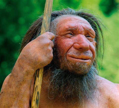 Denisovan Fingers are Indistinguishable from Those of Modern Humans ...