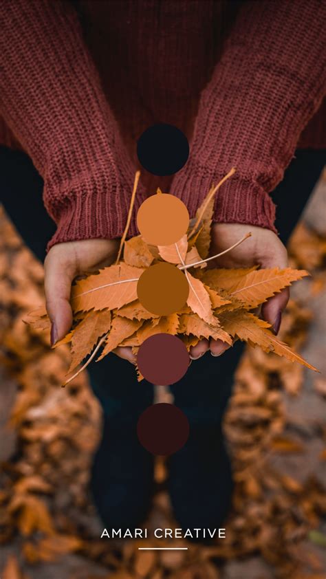 November Color Inspo in 2021 | Fall color palette, Brand colors ...