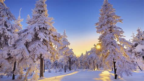 Winter Wonderland Desktop Wallpapers - Top Free Winter Wonderland ...