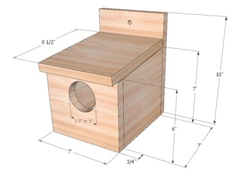 Robin Nest Box Dimensions