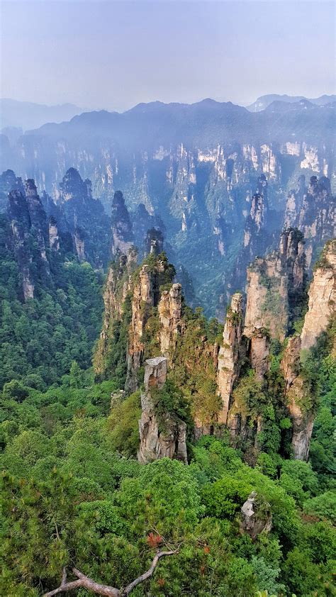 Zhangjiajie Forest Park, China. Well worth the long journey for the ...