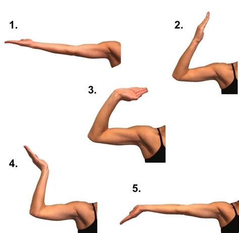 Image result for nerve gliding exercises | Ulnar nerve exercises ...