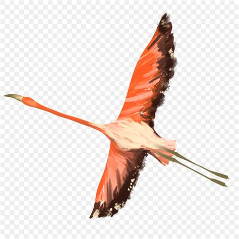 Flying Flamingo Clipart PNG Images, Flying Cute Flamingo, Flamingo ...