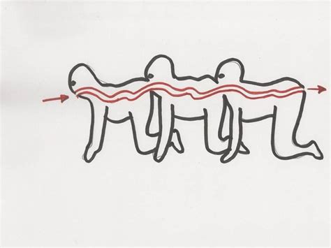 The Human Centipede (surgery) | The Human Centipede Wiki | FANDOM ...