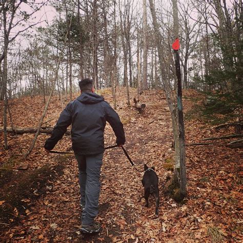 The Trails at Eagles Nest Park- A 3 km Hike in Bancroft, ON | Adventure ...