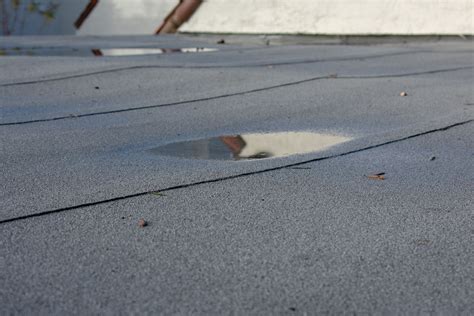 Flat Roof Maintenance for Homes: Modified Bitumen - Waypoint