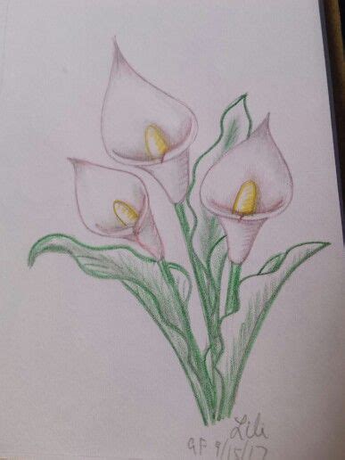 Lilies- created using the Alcatraz step by step instructions. | Lilies ...