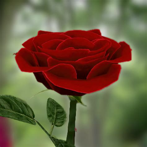 3D Rose Live Wallpaper - Apps on Google Play