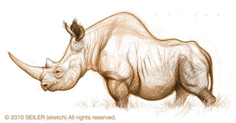 It's funny because it's true: Rhino who you are . . . Wednesday sketch!