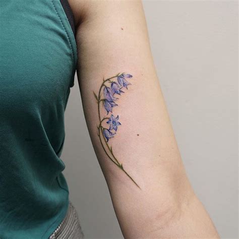 Pin by Ashley Chisholm on Tattoo me | Bluebell tattoo, Bluebells flower ...