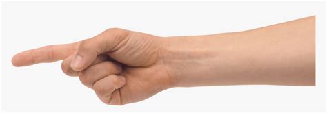 Png Free Images Pictures - Arm With Pointing Finger, Transparent Png ...