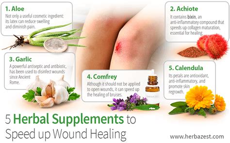 5 Herbal Supplements to Speed up Wound Healing | HerbaZest