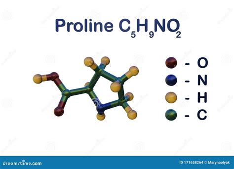 Structural Chemical Formula and Molecular Model of Proline. Proline is ...