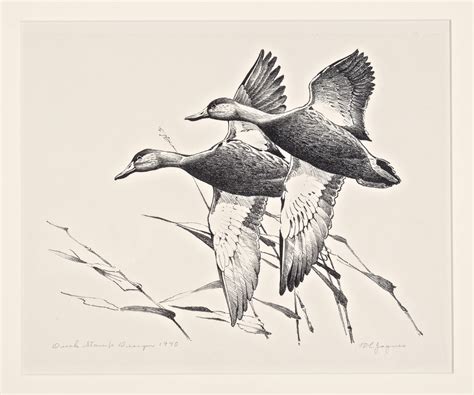 Prints - Waterfowl Stamps and More