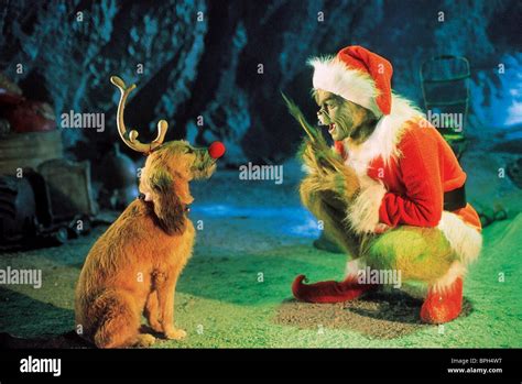 Max Dog Grinch Stole Christmas High Resolution Stock Photography and ...