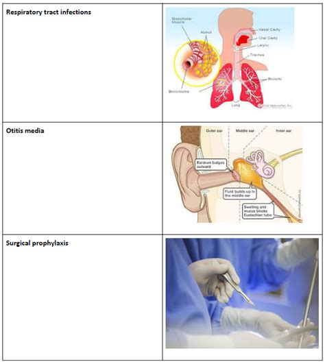 First-Generation Cephalosporin’s Bacterial Coverages and Treatment ...