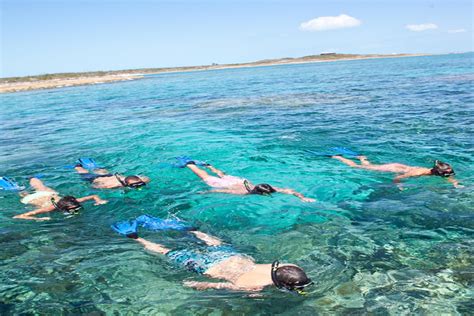 Snorkeling in Nassau Bahamas | Nassau bahamas, Snorkeling, Bahamas